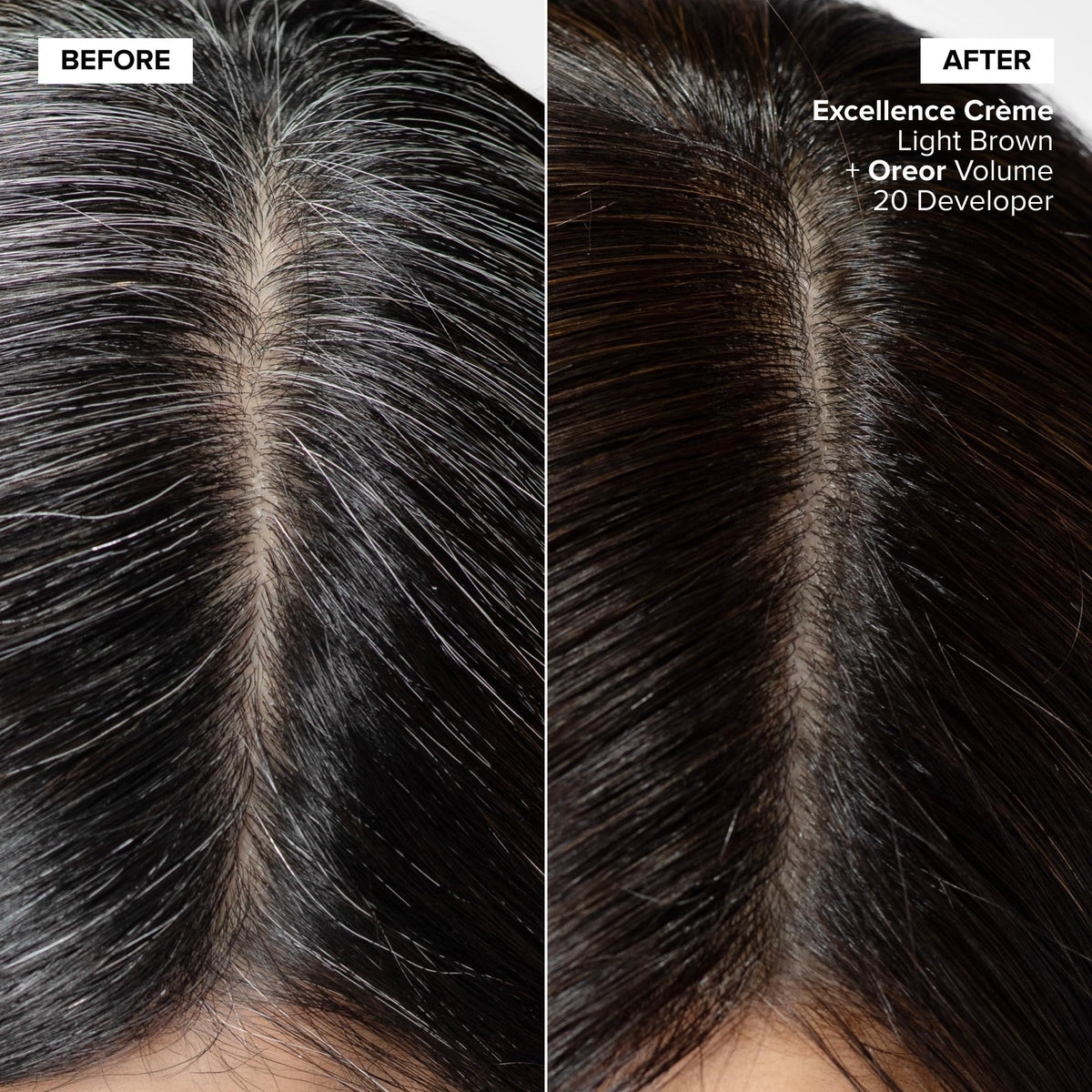 L'OREAL TECHNIQUE Excellence Crème Dark Copper Blonde application process