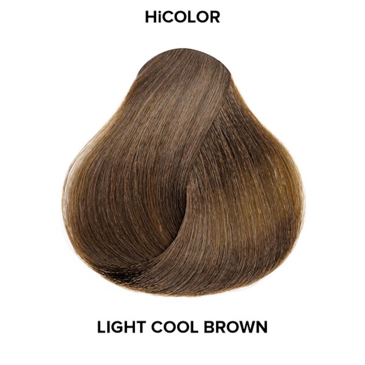 L'OREAL TECHNIQUE HiColor Ash Blonde Hair Colour with tools