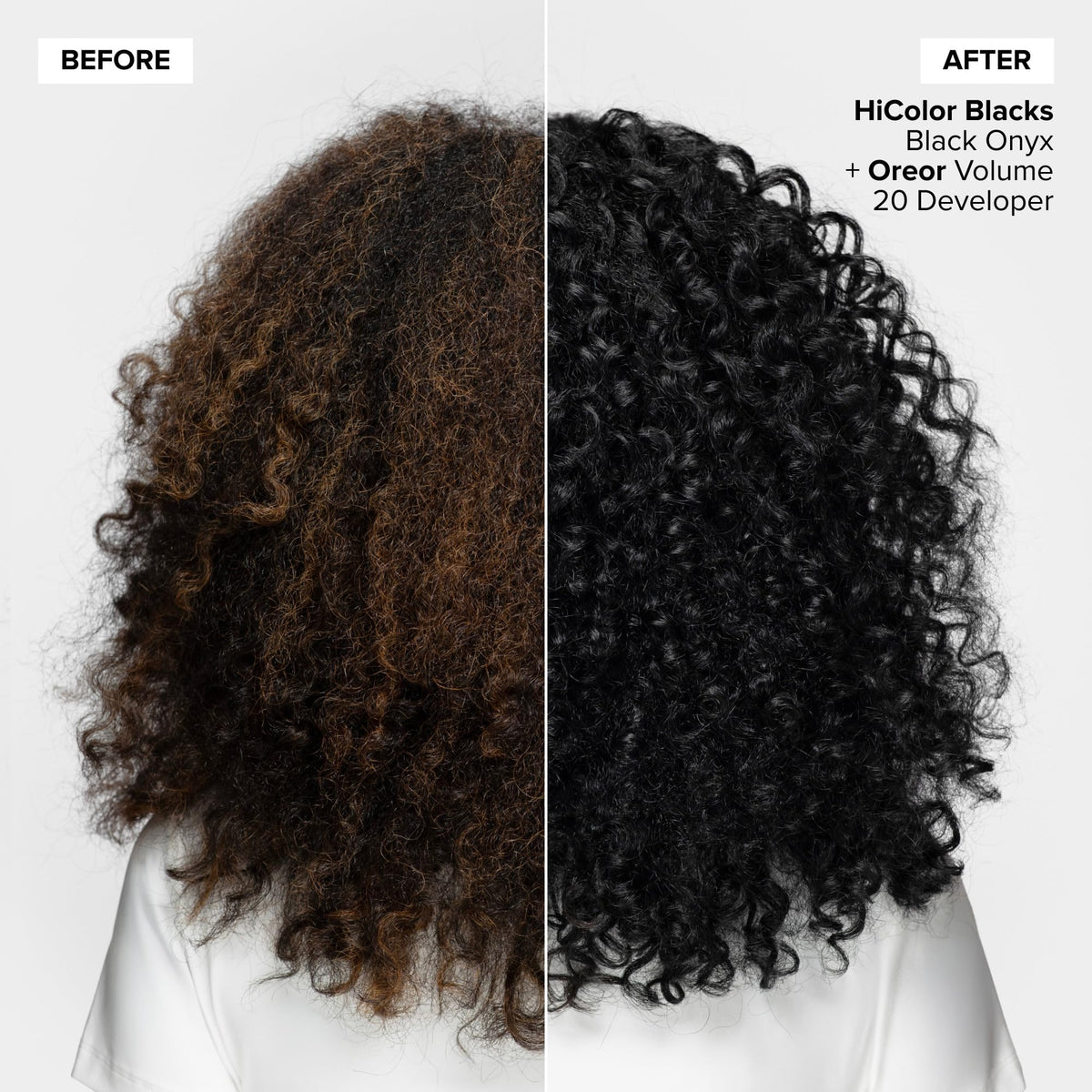L'OREAL TECHNIQUE HiColor Darkest Plum back view with instructions