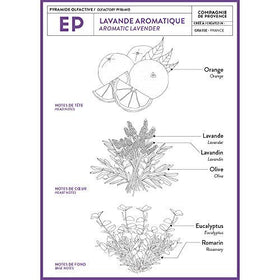 La Compagnie de Provence Marseille Liquid Soap Aromatic Lavender lifestyle scene