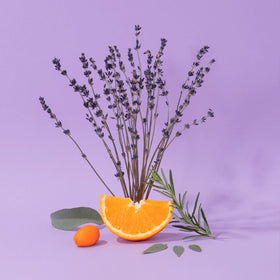 La Compagnie de Provence Marseille Liquid Soap Aromatic Lavender with natural ingredients