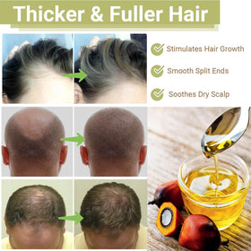 Lampolar Batana Oil application on hair