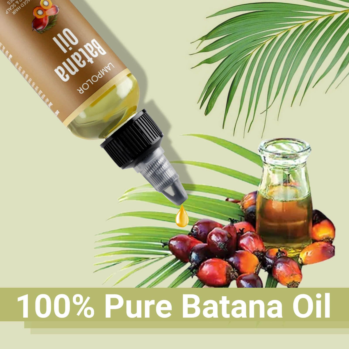 Lampolar Batana Oil with dropper