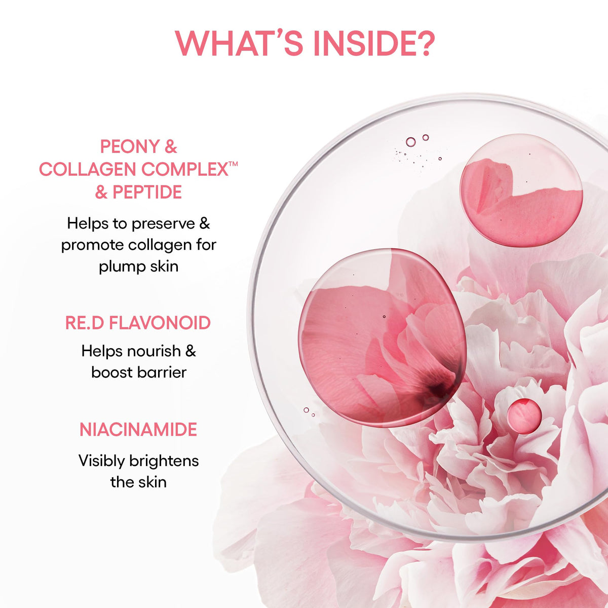LANEIGE Bouncy & Firm Serum lifestyle scene