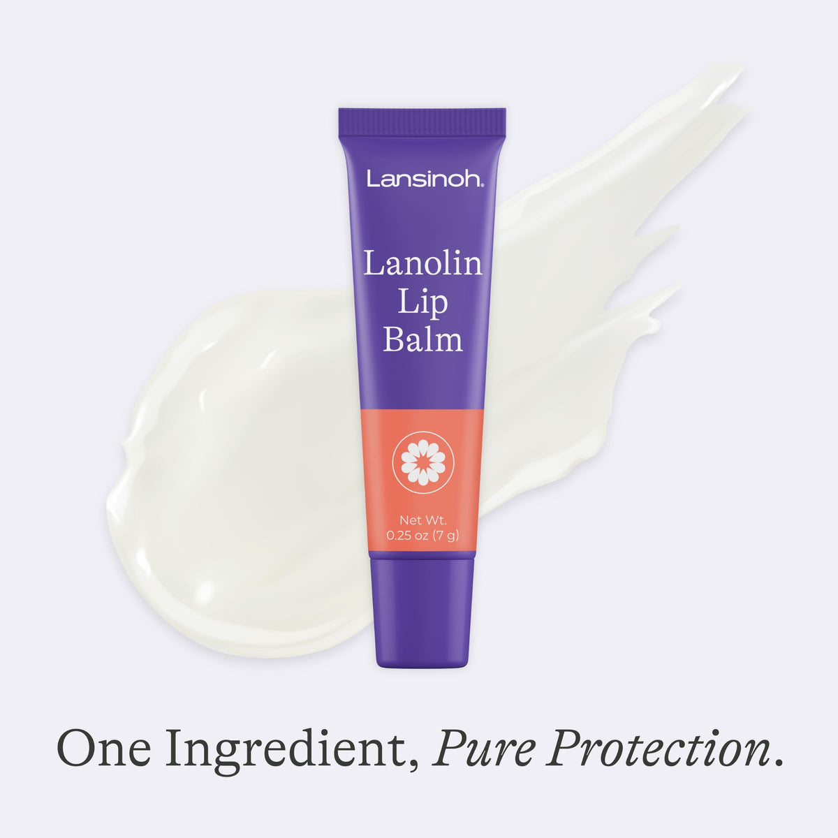 Lansinoh Lanolin Lip Balm 2 Pack with lifestyle background