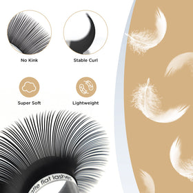 LASHVIEW Eyelash Extensions 0.15mm D Curl mixed tray