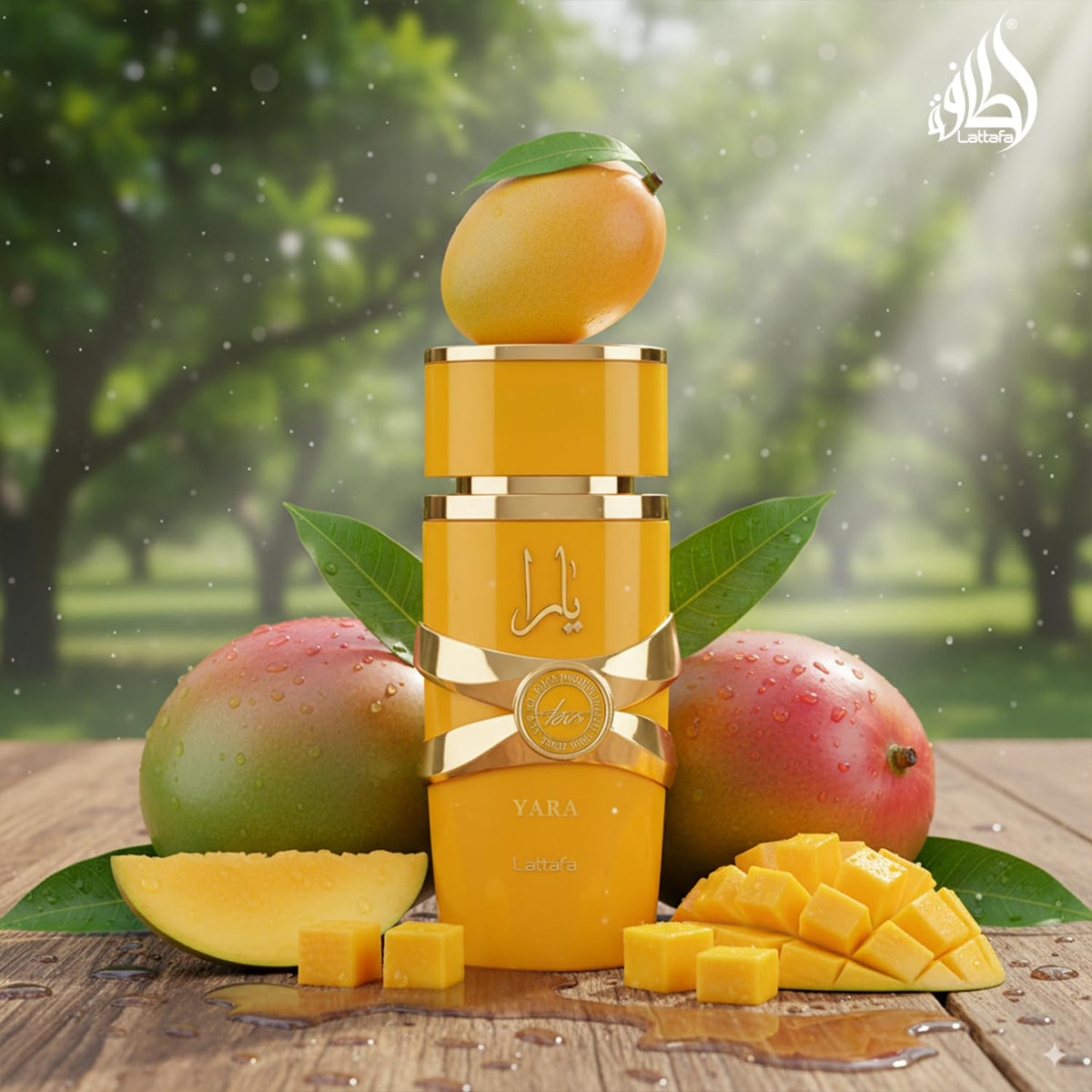 Lattafa Yara Tous Eau de Parfum in elegant packaging