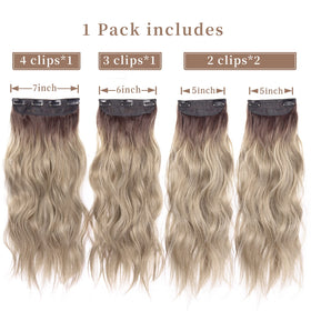 LEEONS clip-in hair extensions packaging with colour details