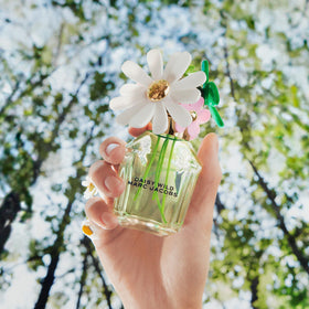 Lifestyle image of Daisy Wild EDP set on a vanity