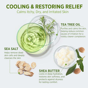 Lifestyle scene with Roycederm Tea Tree Body Wash in shower