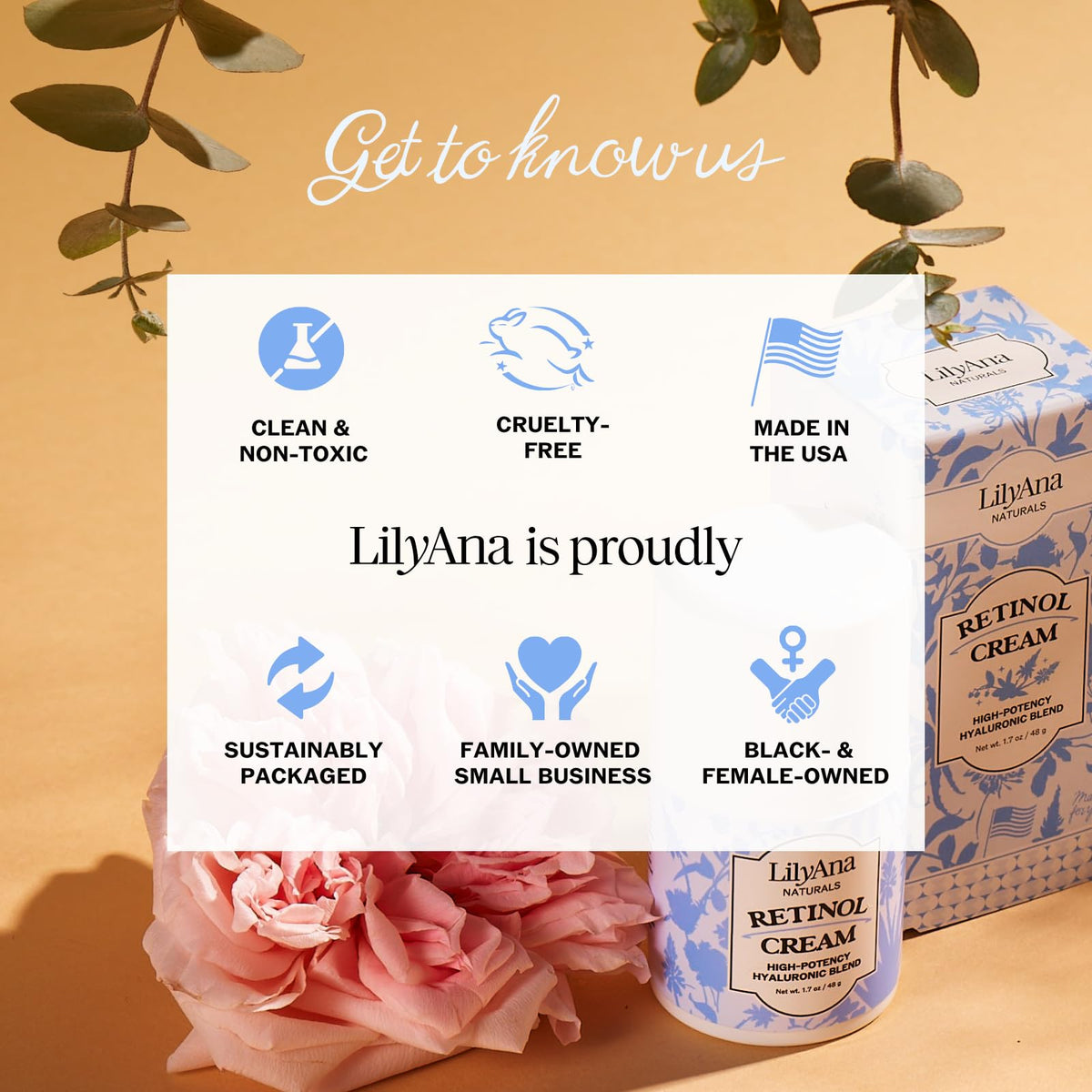 LilyAna Naturals Anti Aging Retinol Face Cream in bathroom setting
