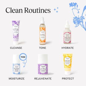 LilyAna Naturals Anti Aging Retinol Face Cream with vitamin E ingredients