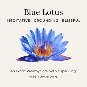 Little Seed Farm Blue Lotus Deodorant Cream jar side view
