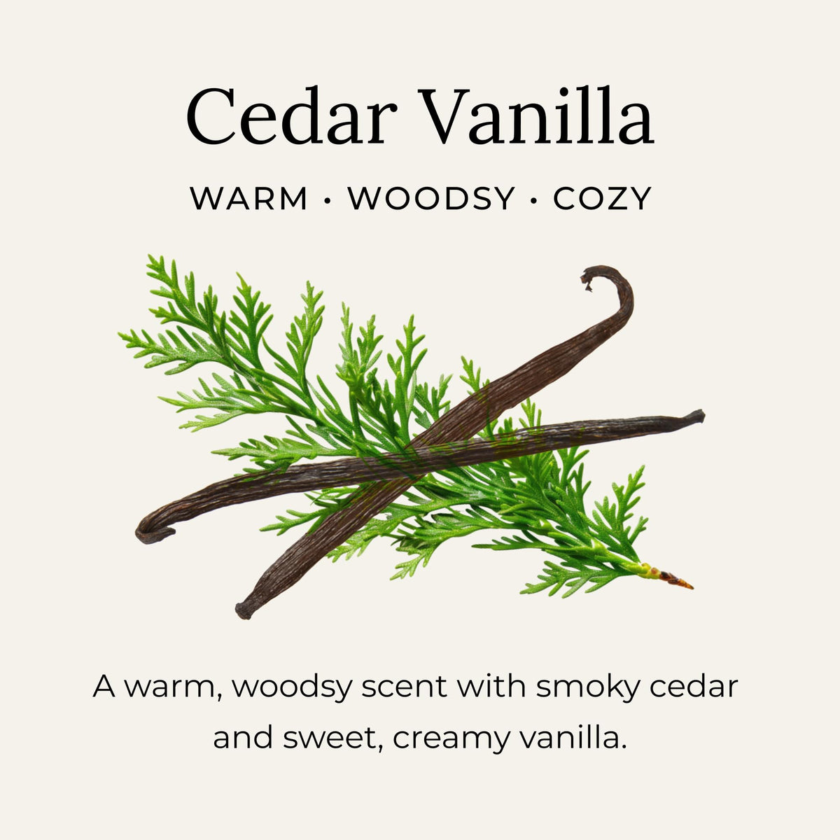 Little Seed Farm Cedar Vanilla Deodorant Cream texture close-up