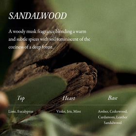 LONGTAKE Sandalwood Shampoo texture close-up