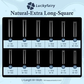 Luckyfairy nail tips arranged in size order