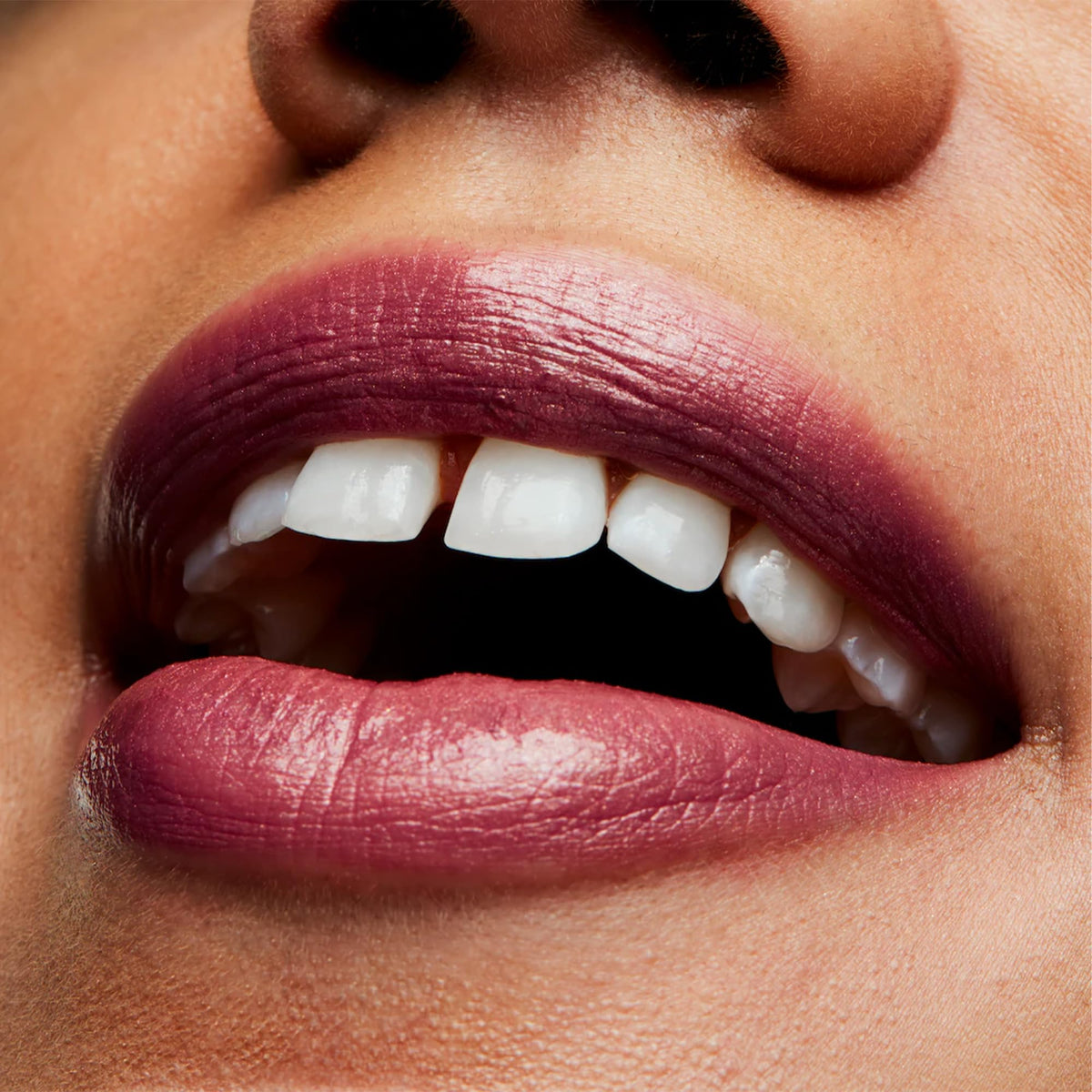 MAC Lipstick Plum Dandy with other beauty products
