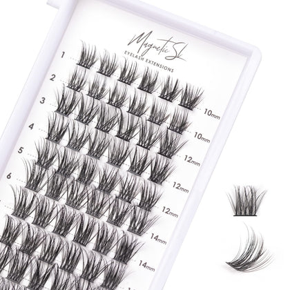 Magnetic SL Cluster Lashes tray with 72 individual lashes