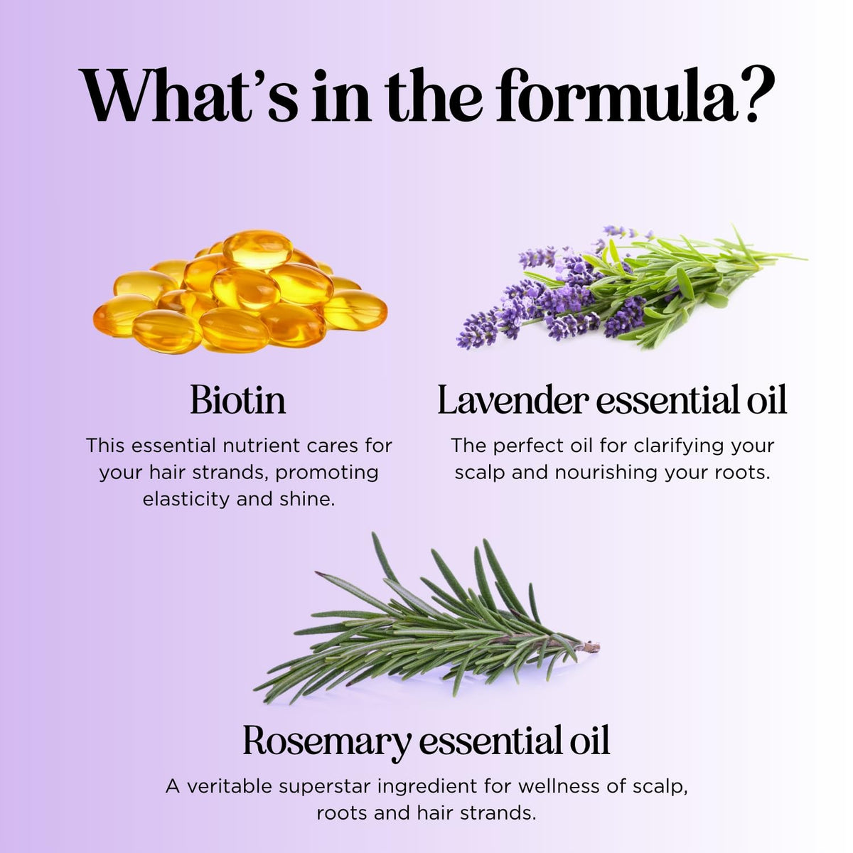 Maple Holistics Lavender Biotin Shampoo ingredients list
