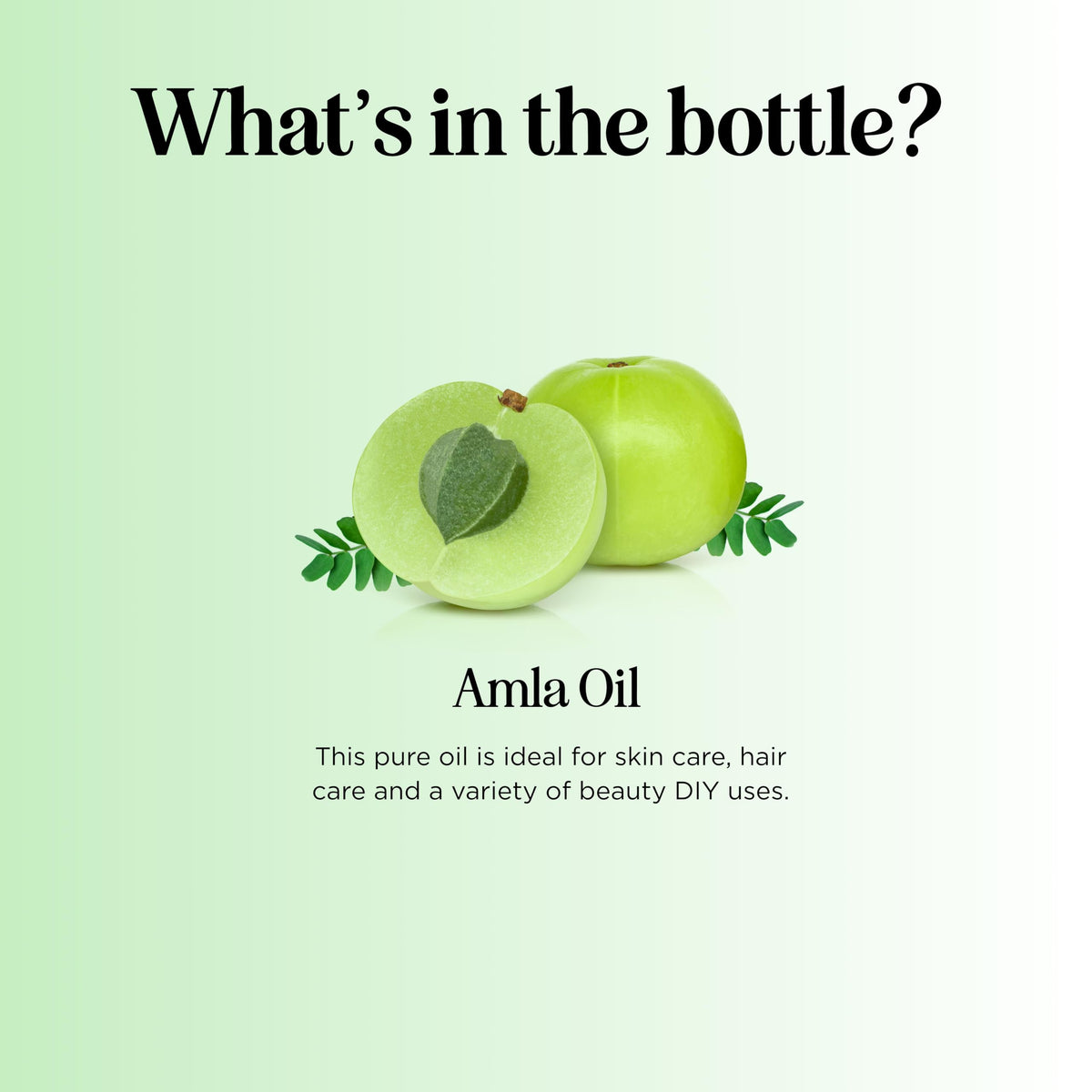 Maple Holistics Organic Amla Oil with essential oils