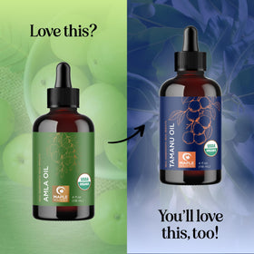 Maple Holistics Organic Amla Oil with fresh amla fruit