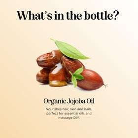 Maple Holistics Organic Jojoba Oil 16 Fl Oz with essential oils