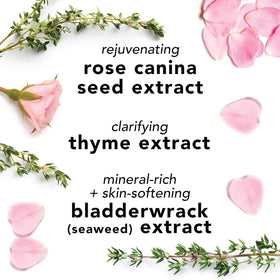 Mario Badescu Facial Spray Aloe and Rose Water mist application