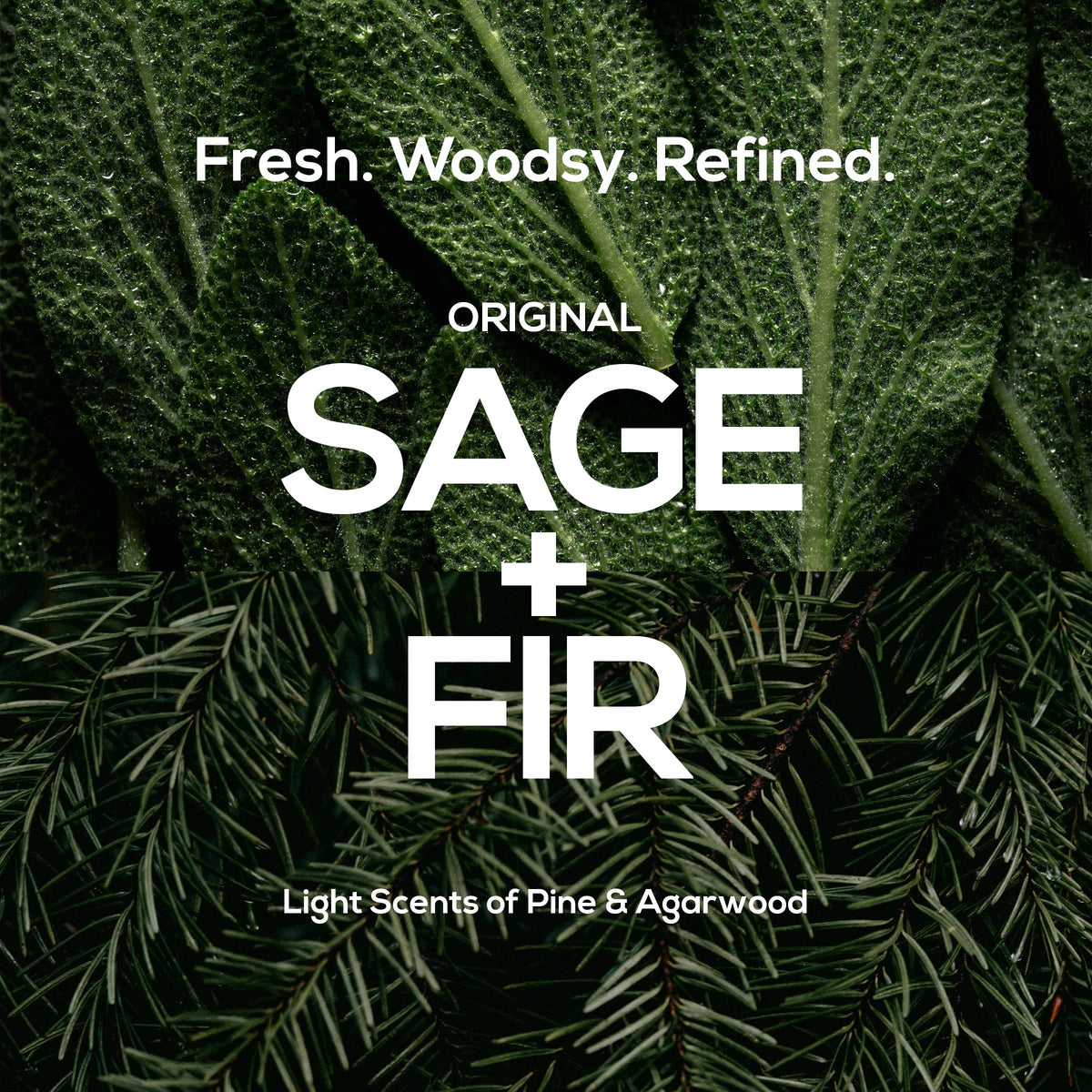 MARLOWE. Body Scrub Soap Bar Sage + Fir with ingredients