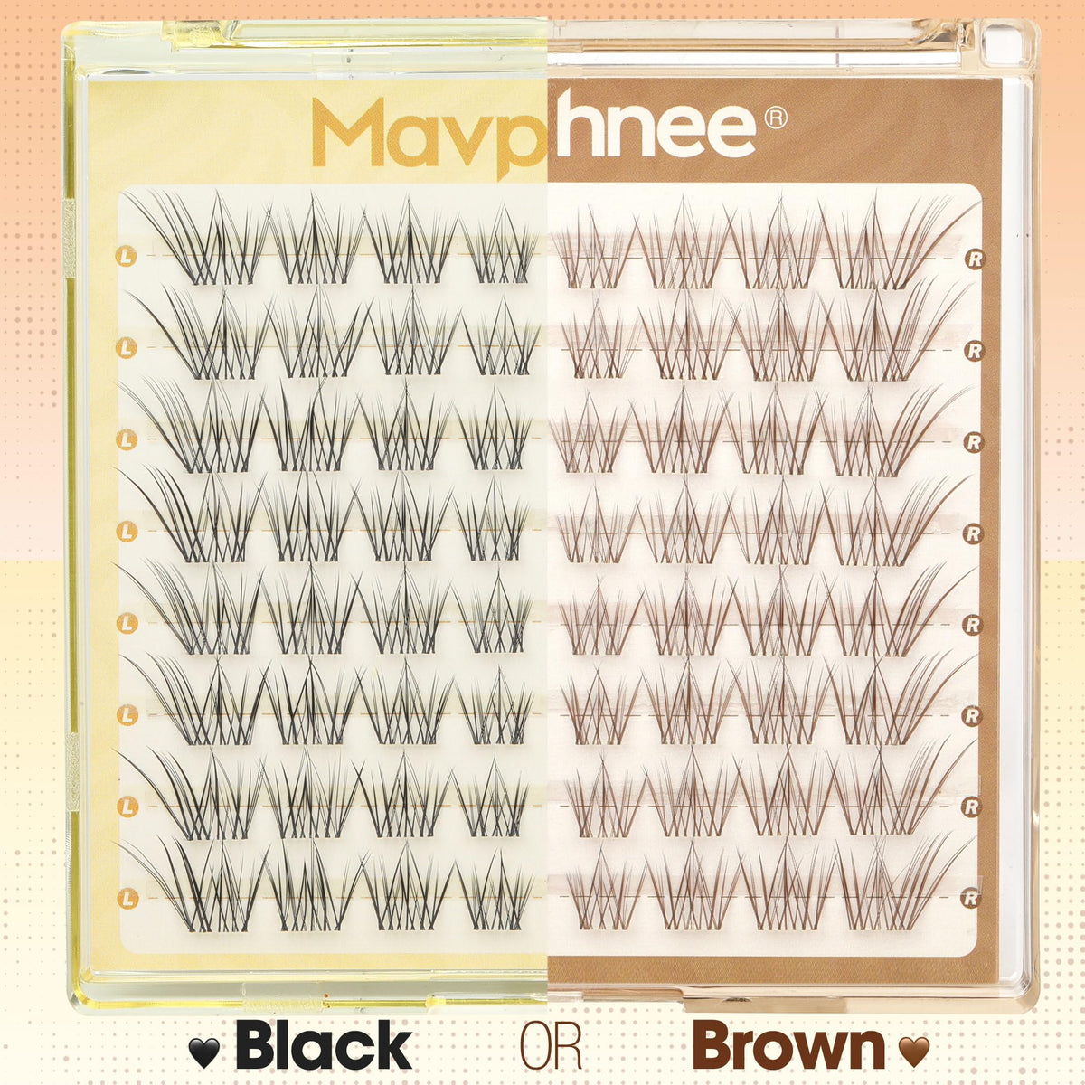 Mavphnee Brown Lash Clusters in beauty setup