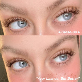 Mavphnee Brown Lash Clusters Kit contents including lashes and tweezers