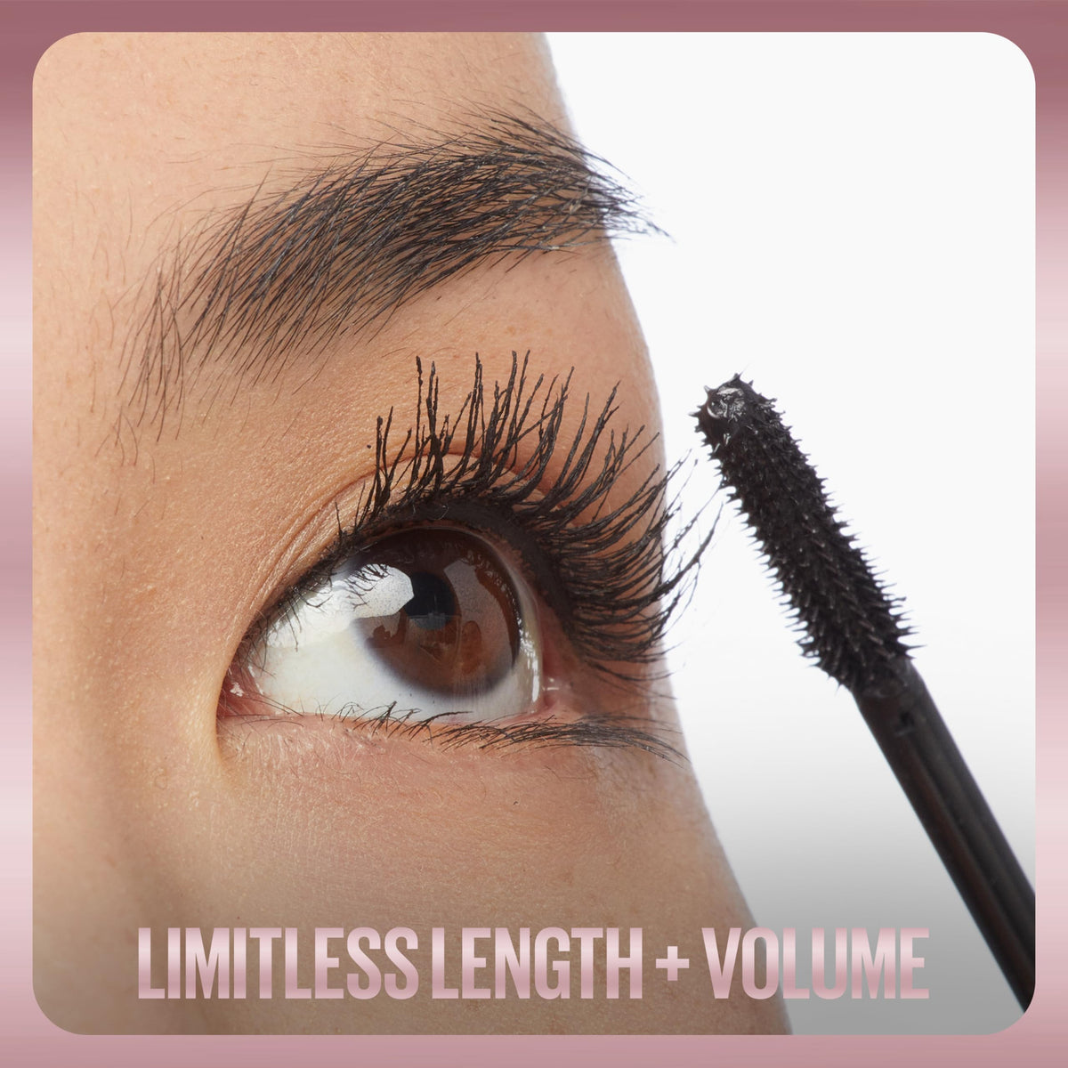 MAYBELLINE Lash Sensational Holiday Makeup Kit packaging