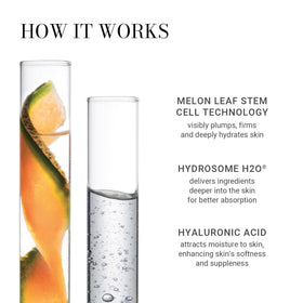 Meaningful Beauty Youth Activating Melon Serum in a skincare routine