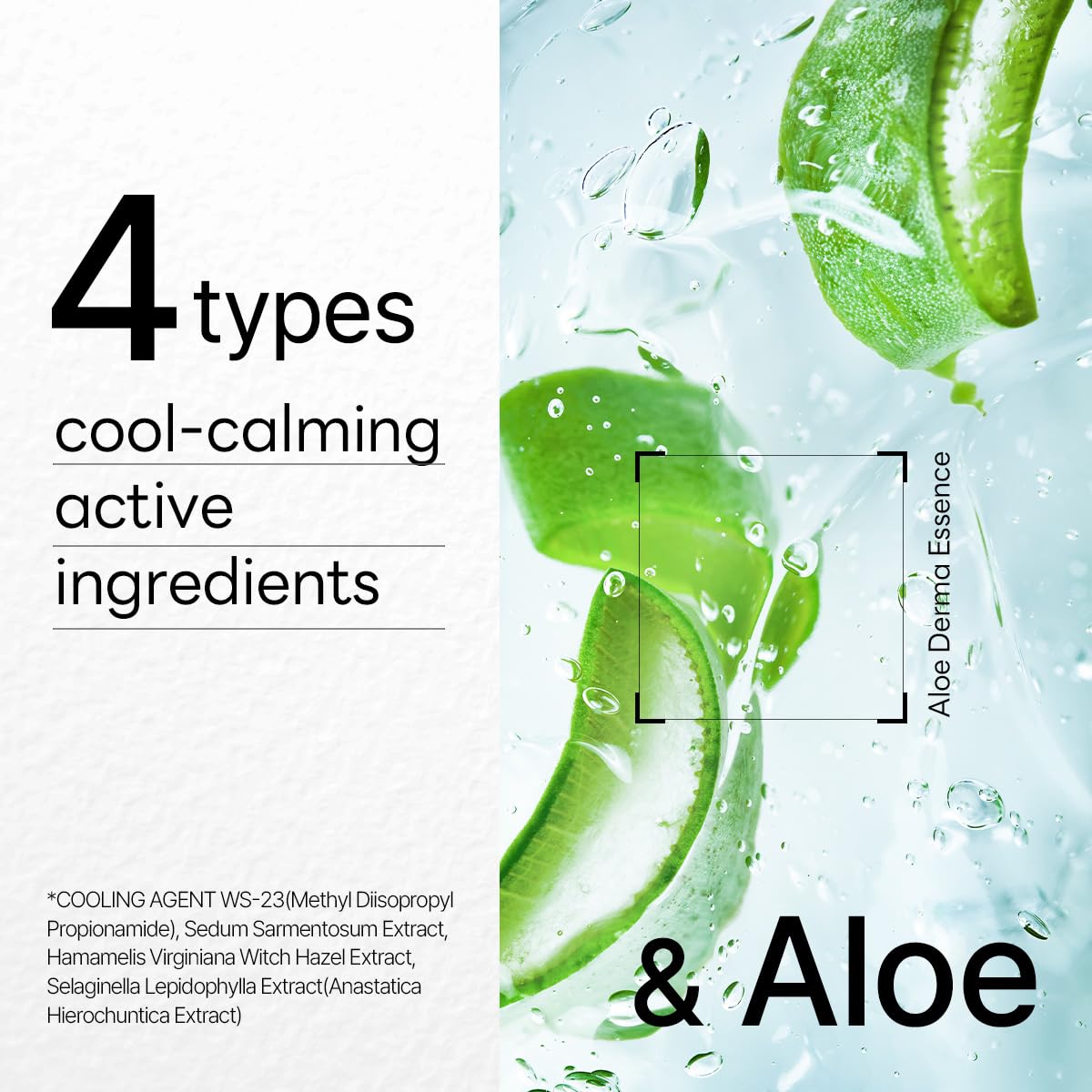 MEDIHEAL Dermaplus Aloe Daily Hydrating Mask in a beauty setting