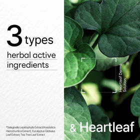 MEDIHEAL Dermaplus Heartleaf Daily Soothing Mask ingredients list