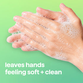 Method Foaming Hand Wash Eucalyptus + Rosemary 10 fl oz back view