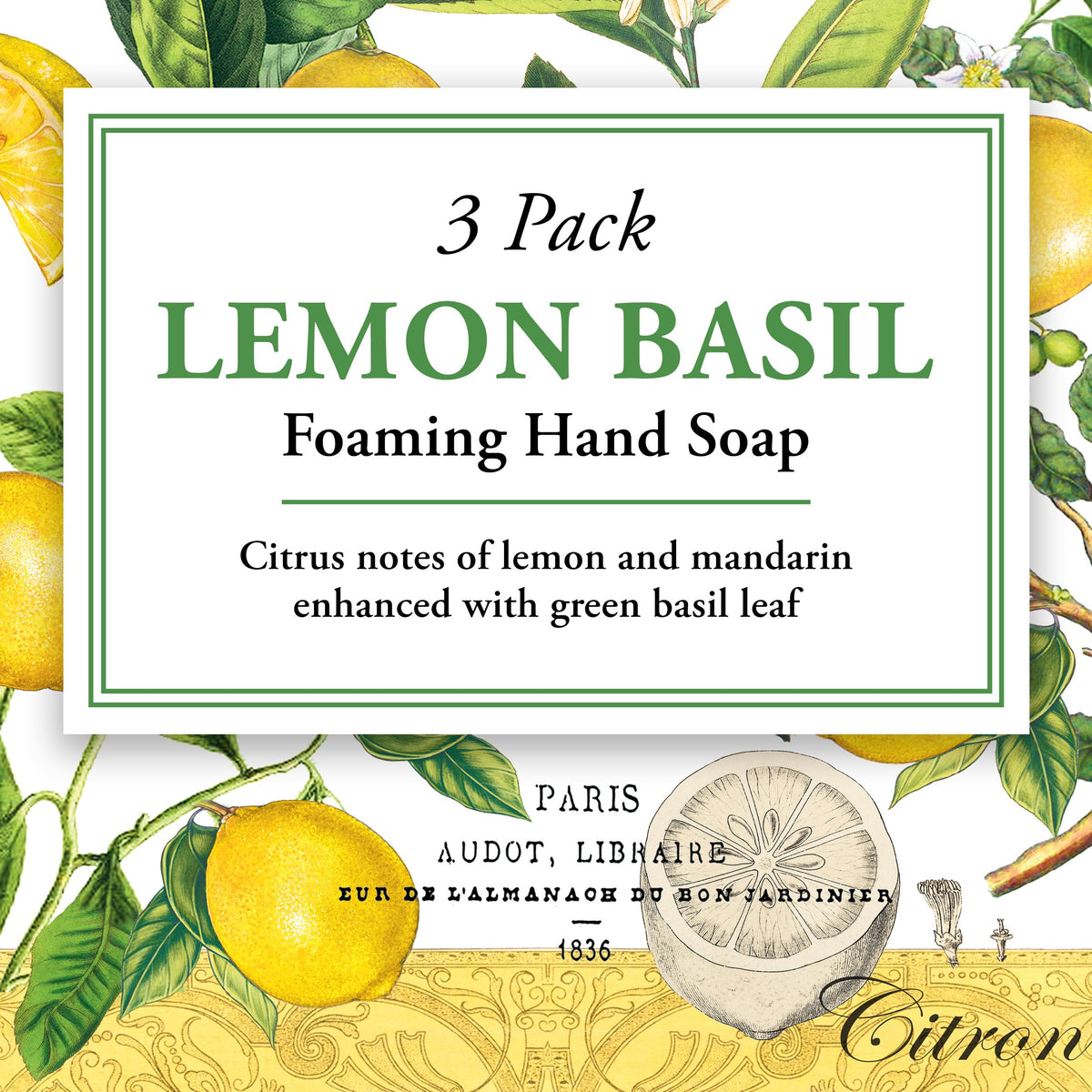 Michel Design Works Lemon Basil Foaming Hand Soap side view showing packaging