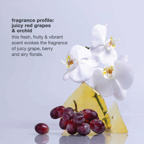 milk_shake Icy Blond Shampoo 1000ml with styling tools
