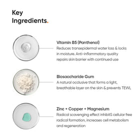 Minimalist 10% Panthenol Face Moisturizer ingredients list