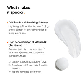 Minimalist 10% Panthenol Face Moisturizer with other skincare products