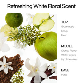 Mise En Scene Perfect Serum Shampoo application on hair