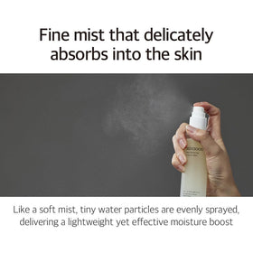 mixsoon Bean Balancing Ampoule Mist 100ml packaging details