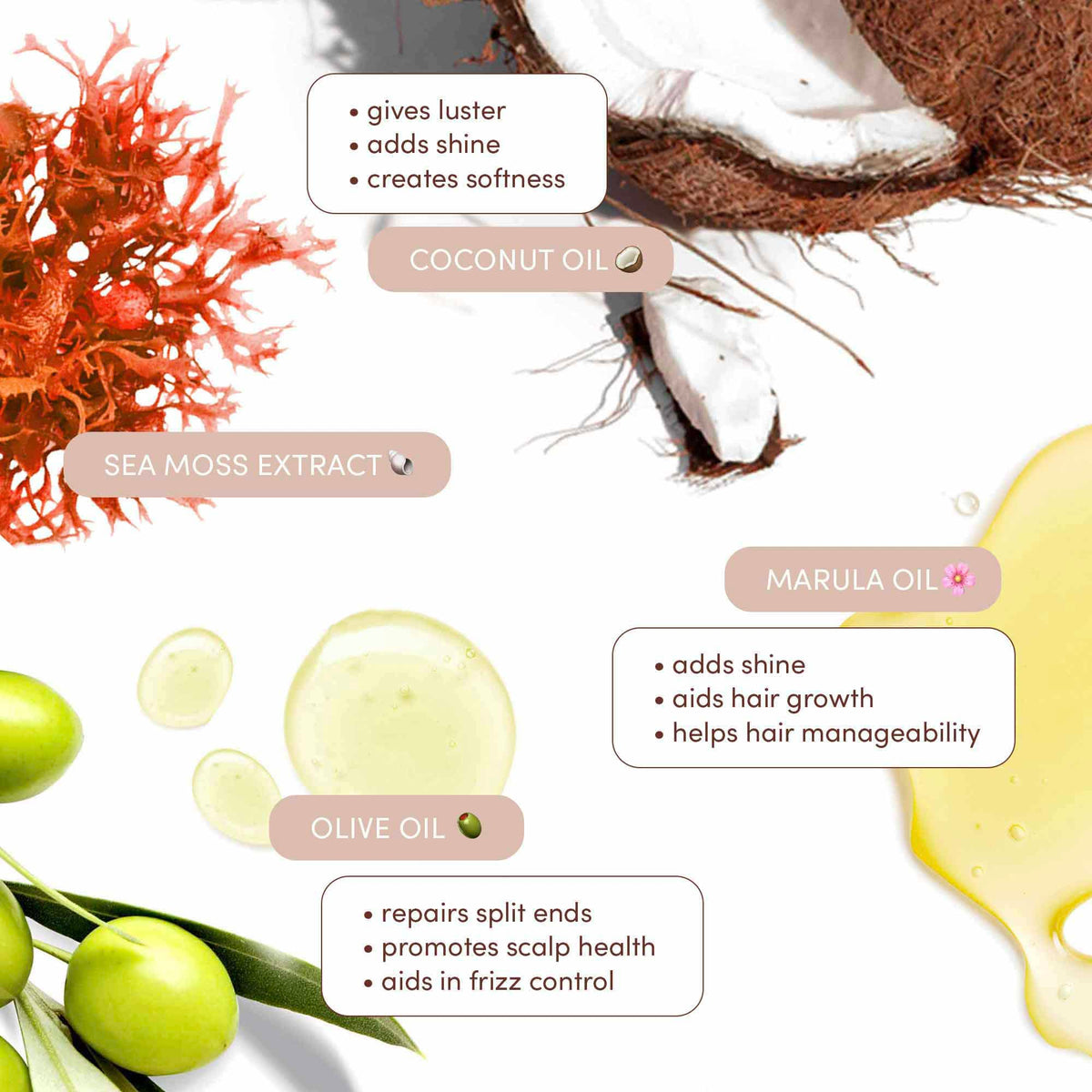 Mizani True Textures Coil Stretch Cream with natural ingredients