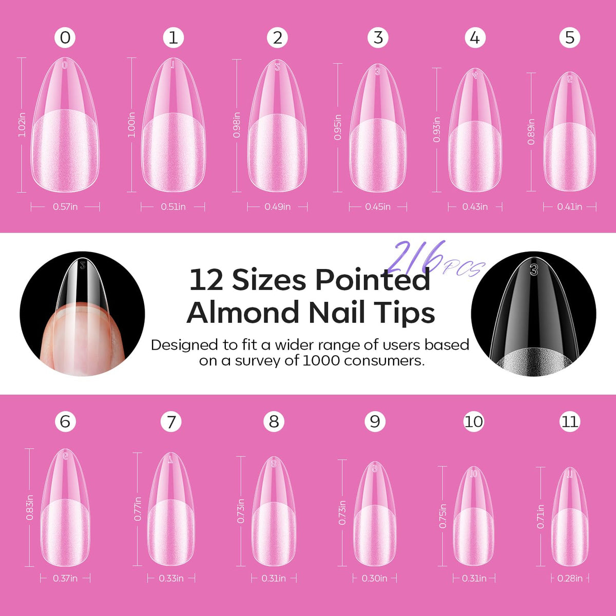 modelones Pointed Almond Nail Tips arranged by size