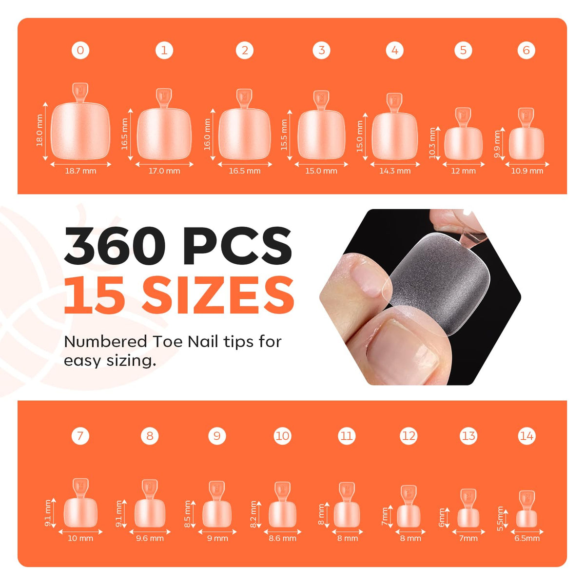 modelones Toe Nail Tips 360pcs in use on feet
