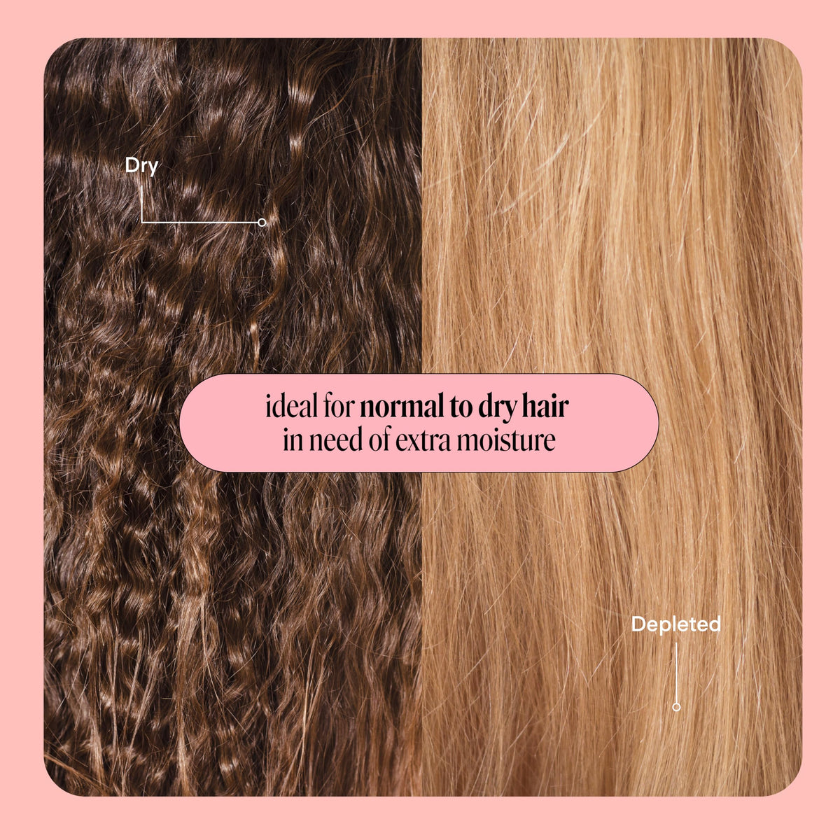 MONDAY HAIRCARE Moisture Shampoo and Conditioner packaging