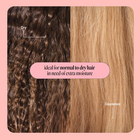 MONDAY HAIRCARE Moisture Shampoo and Conditioner packaging