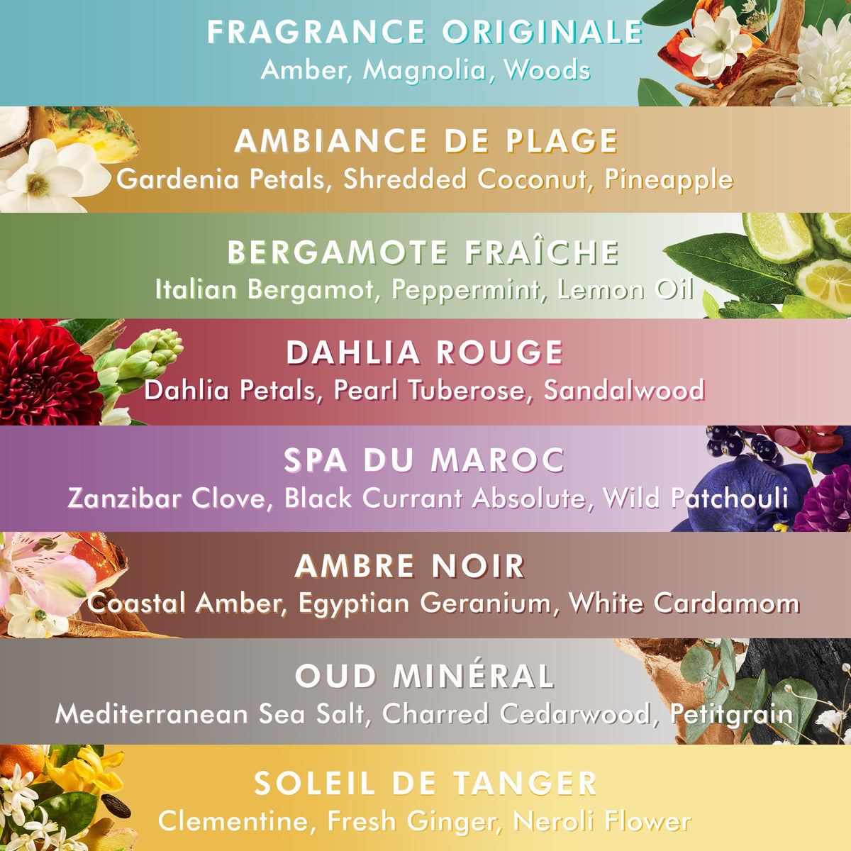 Moroccanoil Shower Gel Ambiance de Plage 8.5 Fl. Oz. back view
