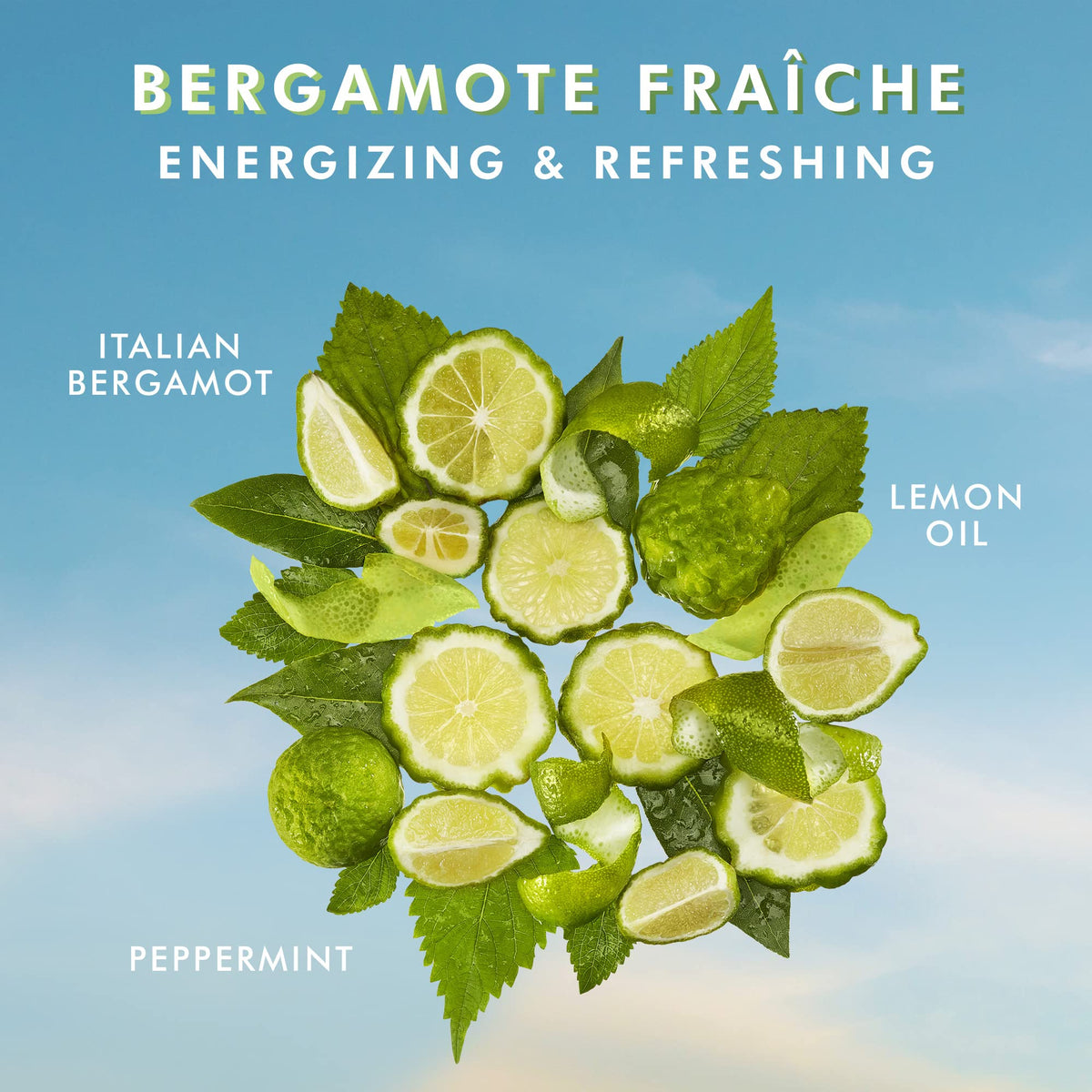 Moroccanoil Shower Gel Bergamote Fraiche 8.5 Fl. Oz. side view