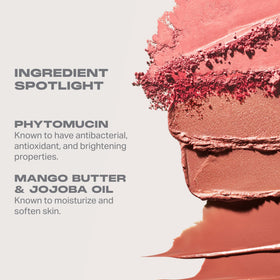 MORPHE Cheek Thrills Multi-Finish Face Trio Cabana Club packaging