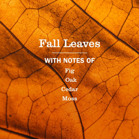 Mrs. MEYER'S Liquid Hand Soap Fall Leaves 3 pack packaging